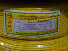 品牌連接未來，專業鑄就信賴——記上海市浦東新區三林鎮曉龍電線電纜經營部