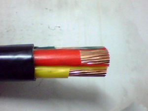 山西天成元電纜頻現質量問題遭重罰，行業警鐘再次敲響